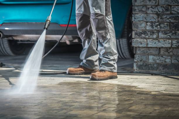 Best Building Exterior Washing  in Orchard Hills, PA