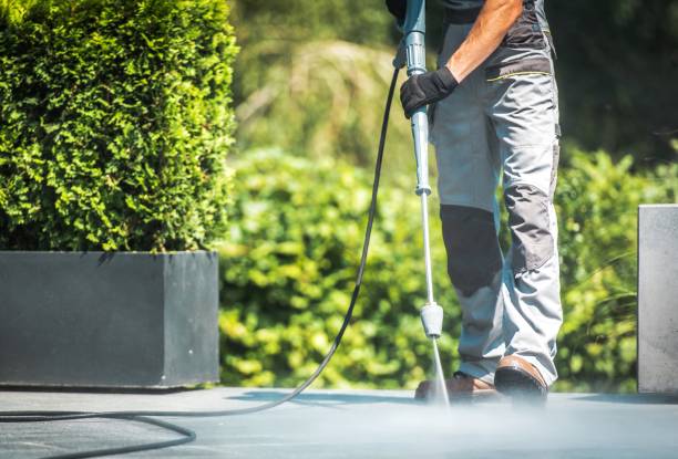 Best Sidewalk and Walkway Cleaning  in Orchard Hills, PA